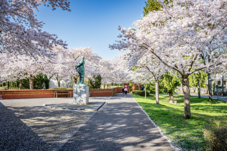 Bild-Nr: 12898543 Kreuznacher Kurviertel 75 Erstellt von: Erhard Hess