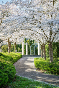 Bild-Nr: 12898544 Kreuznacher Kurviertel 81 Erstellt von: Erhard Hess