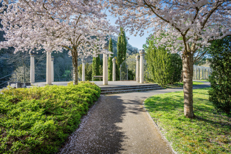 Bild-Nr: 12898545 Kreuznacher Kurviertel 90 Erstellt von: Erhard Hess