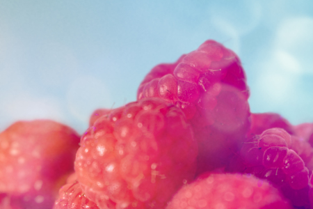 Bild-Nr: 12899141 Himbeeren vor blauem Farbverlauf Erstellt von: Sandra Höfer