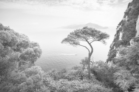 Bild-Nr: 12900016 Capri schwarzweiß Erstellt von: eyetronic