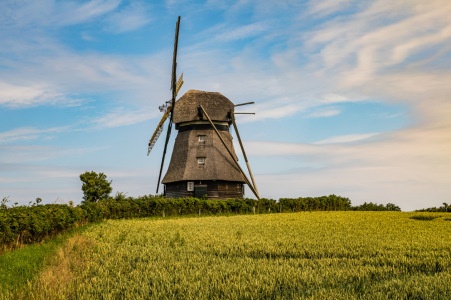 Bild-Nr: 12900417 Windmühle im Kornfeld Erstellt von: Ursula Reins