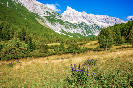 Bild-Nr: 12900604 Sommer in den Alpen Erstellt von: wompus