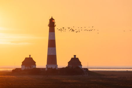 Bild-Nr: 12901255 Vogelzug am Leuchtturm Westerhever Erstellt von: Daniela Beyer
