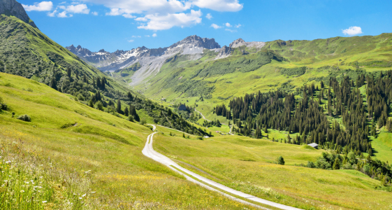 Bild-Nr: 12901425 Frühling im Gafiertal bei Sankt Antönien Schweiz Erstellt von: SusaZoom