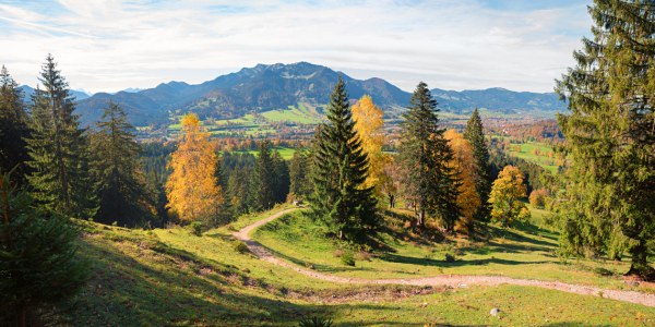 Bild-Nr: 12902352 Grasleitensteig Herbstwanderung Lenggries Erstellt von: SusaZoom