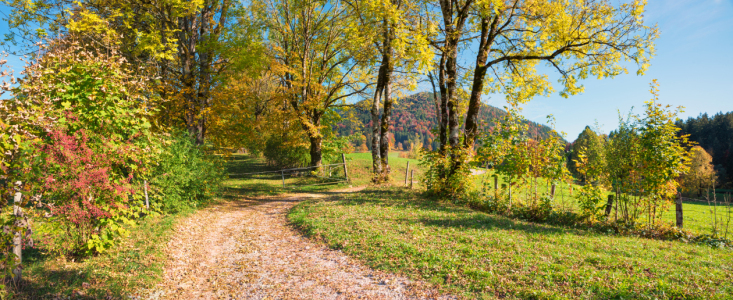 Bild-Nr: 12902353 Herbstspaziergang Lenggries Erstellt von: SusaZoom