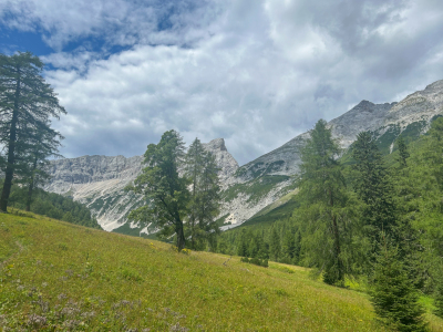 Bild-Nr: 12903662 Alpen Erstellt von: wompus