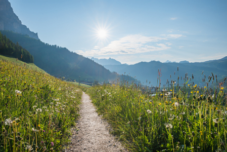Bild-Nr: 12905105 Wiesenweg in den Südtiroler Dolomiten Erstellt von: SusaZoom