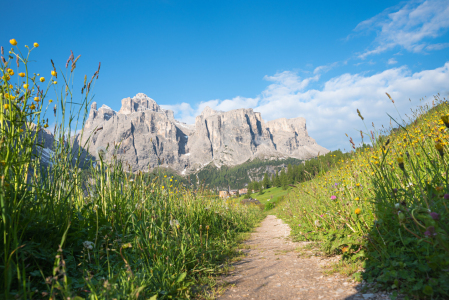 Bild-Nr: 12905108 Wiesenpfad mit Sellablick Erstellt von: SusaZoom
