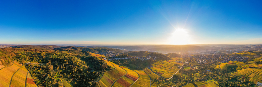 Bild-Nr: 12905270 Luftbild Panorama Weinberge in Stuttgart Erstellt von: dieterich