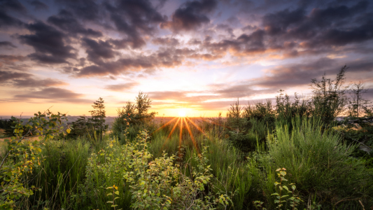 Bild-Nr: 12905408 Sunset in the Harz  Erstellt von: Steffen Henze