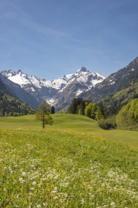 Bild-Nr: 12906272 Frühlingstraum im Trettachtal Erstellt von: Walter G. Allgöwer