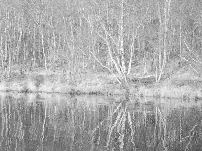 Bild-Nr: 12909169 Birken am See Erstellt von: Herbo