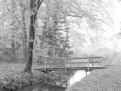 Bild-Nr: 12909170 Brücke am Waldrand Erstellt von: Herbo