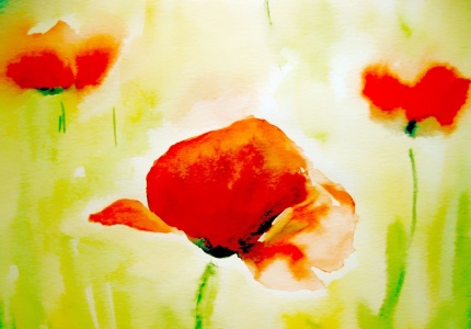 Bild-Nr: 12909199 Traum mohn Erstellt von: M.A. Ziehr