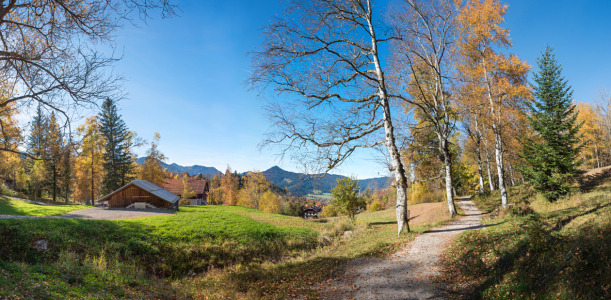 Bild-Nr: 12909201 Herbstweg Birkenstein Erstellt von: SusaZoom