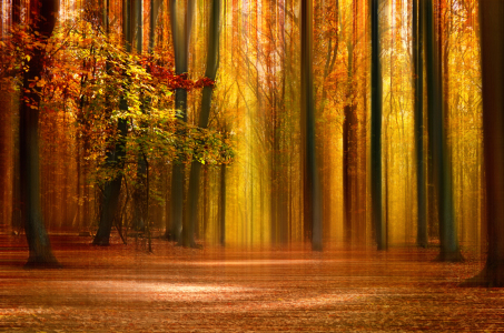 Bild-Nr: 12910123 Herbst Erstellt von: Atteloi