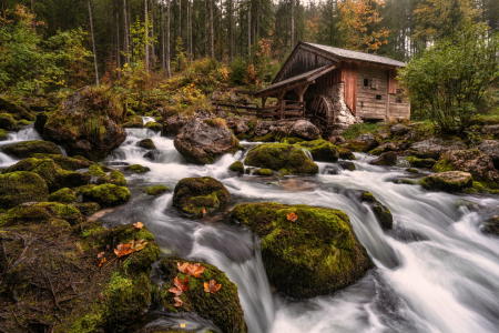 Bild-Nr: 12910960 Herbst im Salzburger Land Erstellt von: Achim Thomae