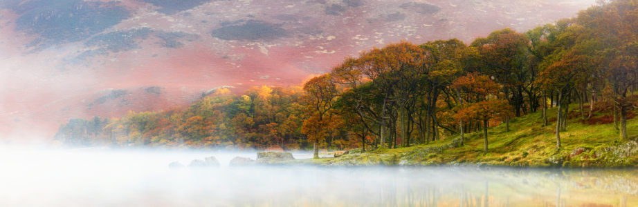 Bild-Nr: 12911153 Herbst im Lake District Erstellt von: Daniela Beyer