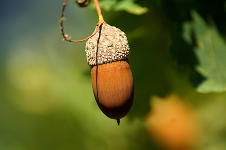 Bild-Nr: 12911445 Oktober Erstellt von: youhaveadream