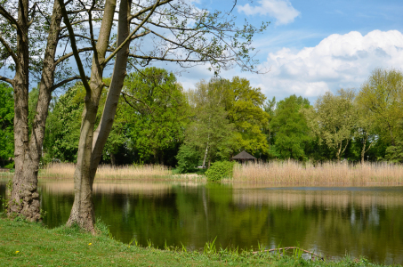 Bild-Nr: 12911470 Frühling im Park Erstellt von: Atteloi