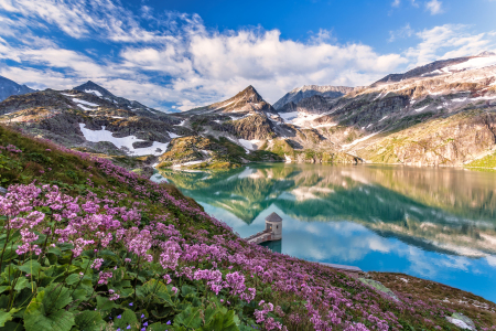 Bild-Nr: 12911655 Sommer am Weißseegletscher Erstellt von: Achim Thomae