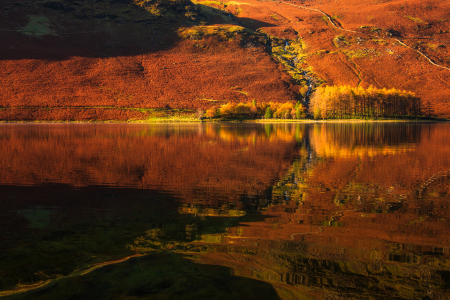 Bild-Nr: 12911806 Herbstspiegelung Erstellt von: Daniela Beyer