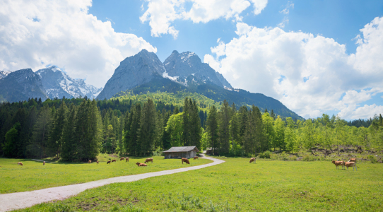Bild-Nr: 12912402 Werdenfelser Landschaft Erstellt von: SusaZoom