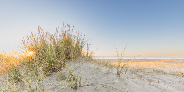 Bild-Nr: 12912535 Sonne im Strandhafer Erstellt von: Ursula Reins