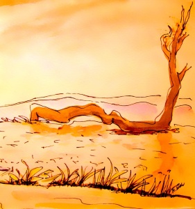 Bild-Nr: 12912917 desert Erstellt von: M.A. Ziehr