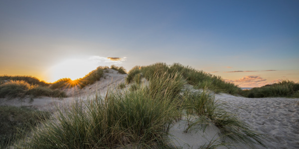 Bild-Nr: 12913256 Sonnenstrahlen in den Stranddünen Erstellt von: Ursula Reins