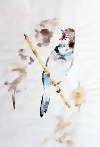 Bild-Nr: 12913503 Frühlingslied Erstellt von: M.A. Ziehr