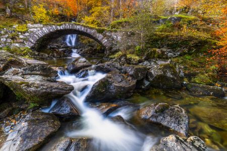 Bild-Nr: 12913647 kleine Brücke im schottischen Herbstwald Erstellt von: Daniela Beyer