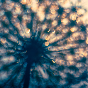 Bild-Nr: 12913855 Sommerglitzern Erstellt von: Daniela Beyer