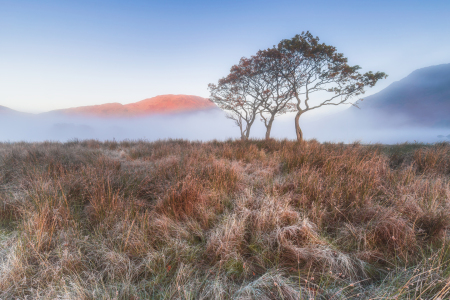 Bild-Nr: 12913859 Nebeliger Herbstmorgen im Lake District Erstellt von: Daniela Beyer