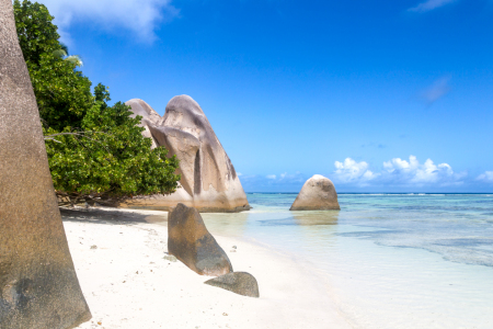 Bild-Nr: 12914009 Seychellen Erstellt von: DirkR
