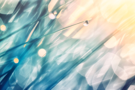 Bild-Nr: 12914023 rainbow morning Erstellt von: Daniela Beyer