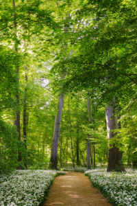 Bild-Nr: 12914139 Wege und Pfade X Erstellt von: Daniela Beyer