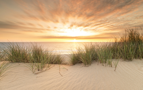 Bild-Nr: 12914140 Sylter Licht Erstellt von: Nordbilder