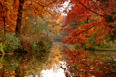 Bild-Nr: 12914284 Herbst Erstellt von: Atteloi