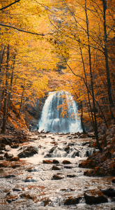 Bild-Nr: 12914367 Josefsthaler Wasserfall im Herbst Erstellt von: SusaZoom