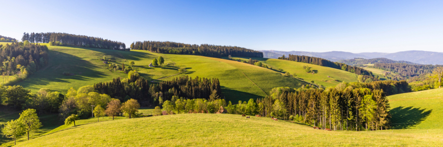 Bild-Nr: 12914396 Landschaft bei Sankt Peter im Schwarzwald Erstellt von: dieterich