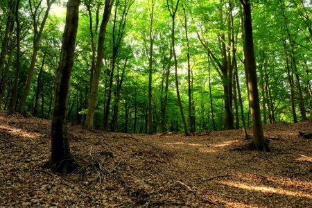 Bild-Nr: 12914543 Im Frühling Erstellt von: Ostseestrand