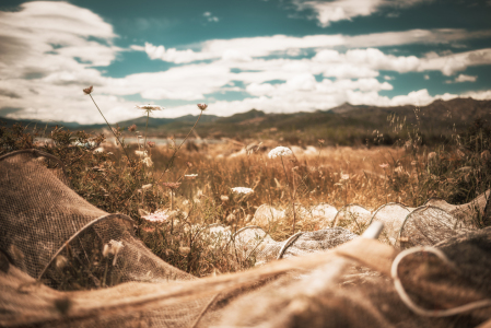 Bild-Nr: 12914800 Fischerei auf Sardinien Erstellt von: Nordbilder