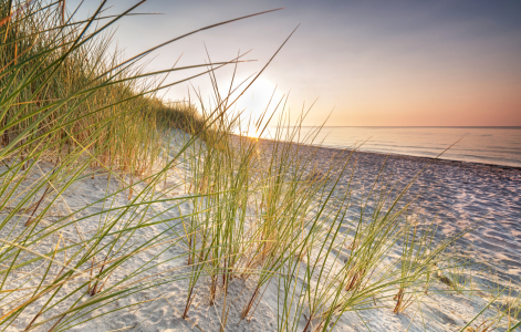 Bild-Nr: 12915181 Dünen im Morgenlicht Erstellt von: Nordbilder