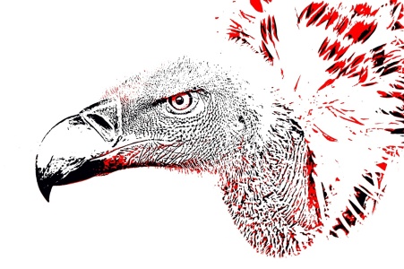 Bild-Nr: 12915391 Portrait eines Kapgeiers mixed media Erstellt von: Schwob