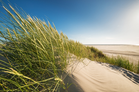 Bild-Nr: 12915436 Durchblick zum Meer Erstellt von: Nordbilder