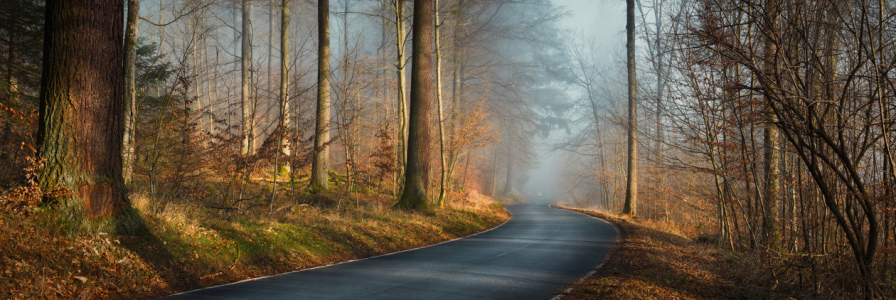 Bild-Nr: 12915868 Neblige Panoramastraße im Herbst bei Sonnenschein Erstellt von: Smileus
