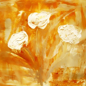 Bild-Nr: 12916048 weiße rosen Erstellt von: M.A. Ziehr